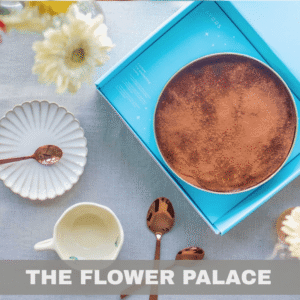 All Chocolate Dreamcake