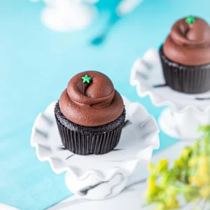 Chocolate Mint Cupcake
