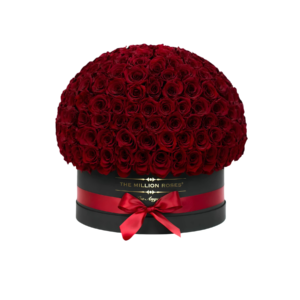Big Love Box 500 Roses