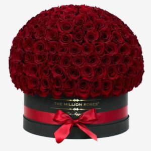 Big Love Box 500 Roses