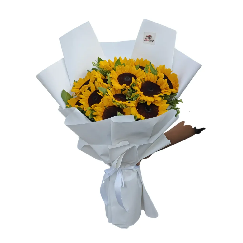 A bouquet of vibrant sunflowers wrapped in white paper, showcasing their bright yellow petals and green leaves.